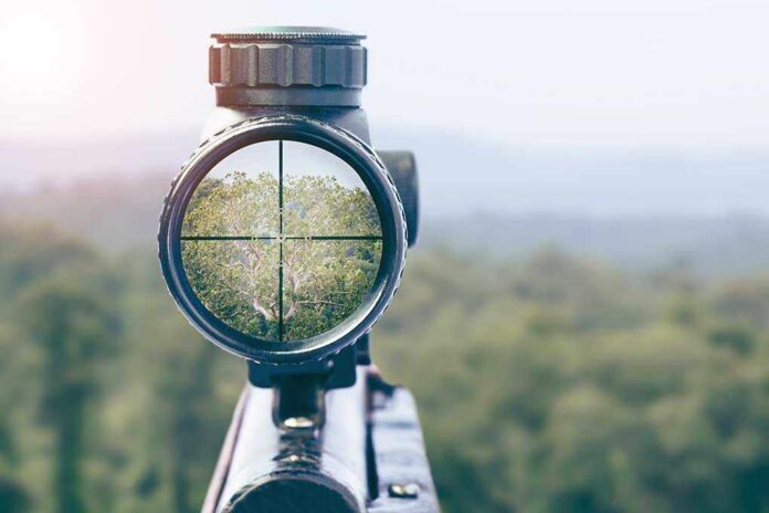 1225045114 featured image Rifle scope aiming at a distant tree.