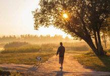 Man walking dog along sunlit path through trees