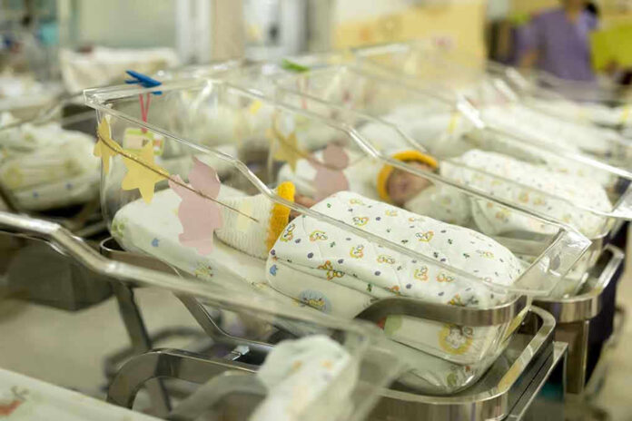 Newborn babies in a hospital nursery
