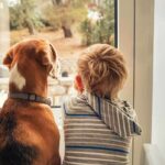 A child and a dog sitting together by a window, looking outside