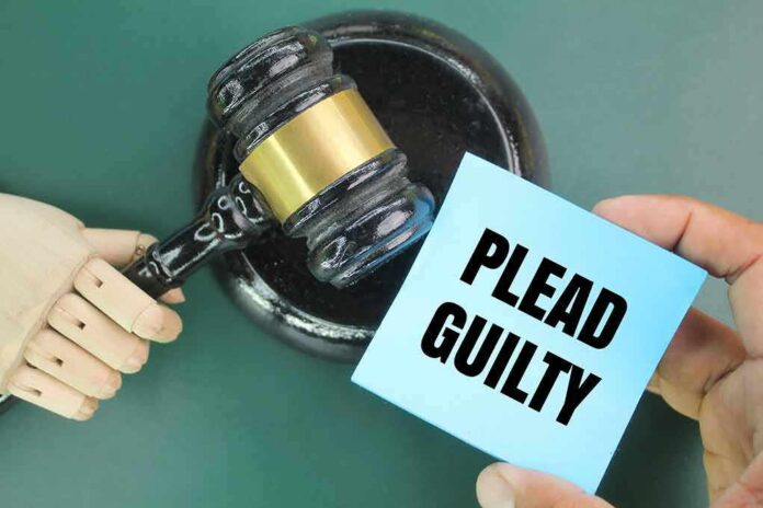 A wooden gavel next to a hand holding a blue card that says PLEAD GUILTY