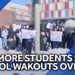 ICE Walkouts Go VIRAL - Schools In Chaos