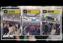 Dem Senator Post Dumbest Tweet About ICE Agents Working at Airports Dem Senator Post Dumbest Tweet About ICE Agents Working at Airports