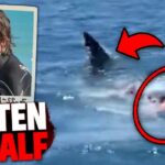 Shark ATTACKS Surfer, BITES Board In Half