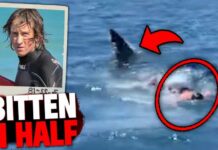Shark ATTACKS Surfer, BITES Board In Half