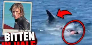Shark ATTACKS Surfer, BITES Board In Half