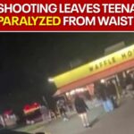 Teen Hero Paralyzed by Coward Bully
