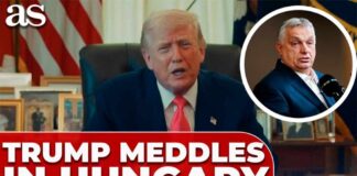 Trump ENDORSES Controversial Leader — EU Explodes! Trump ENDORSES Controversial Leader — EU Explodes