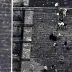 Columbine Copycat Opens Fire At Pyramid