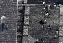 Columbine Copycat Opens Fire At Pyramid