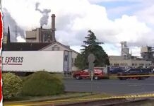 Massive Chemical EXPLOSION Rocks Washington Town