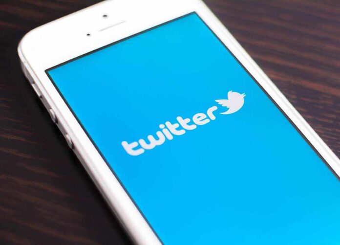 shutterstock_170614805.jpg Close-up of a smartphone displaying the Twitter logo on a blue background