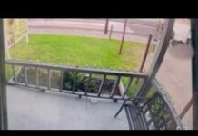 DHS Van Shooting Sparks Explosive Doubts Team coverage | Man killed by ICE officer in Houston's East End