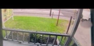 DHS Van Shooting Sparks Explosive Doubts Team coverage | Man killed by ICE officer in Houston's East End