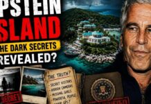 Epstein Island Mystery Explained | The Truth Behind Little Saint James