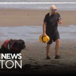 Shark drags lifeguard underwater at Scarborough Beach in Maine