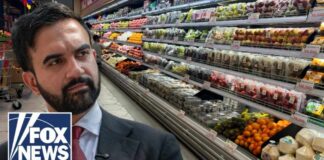 BODEGA BATTLE: NYC is getting SUED over government-funded grocery stores