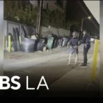 Fatal Stabbing Mystery: Video Tells Conflicting Story 19-year-old arrested for allegedly killing a man in a Beverly Hills alley