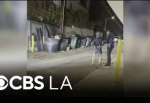 Fatal Stabbing Mystery: Video Tells Conflicting Story 19-year-old arrested for allegedly killing a man in a Beverly Hills alley