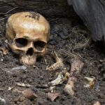 human skull partially buried in soil with scattered bones