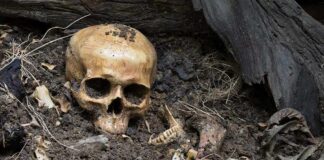 Missing Men Found in SHALLOW Desert Graves human skull partially buried in soil with scattered bones
