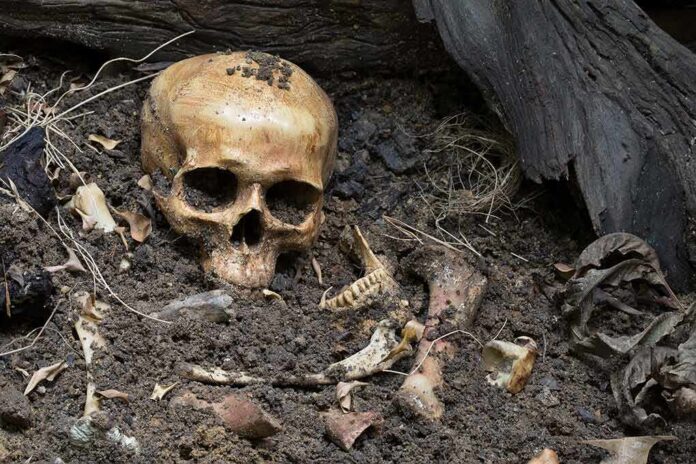 human skull partially buried in soil with scattered bones
