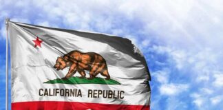 California Directory Leaves Out WHITE Men California state flag waving against a blue sky