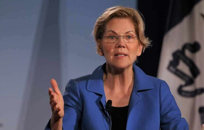Elizabeth Warren speaking at an event with a flag in the background