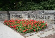 Cornell University stone sign with red flowers