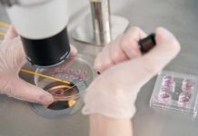 Lab Worker Dies After Possible PLAGUE Exposure Gloved hands manipulating samples under a microscope in a petri dish